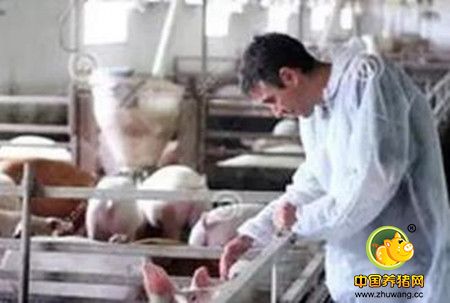 看看我们的差距在哪里？为什么在国内学了五年兽医，一到国外依然傻眼？