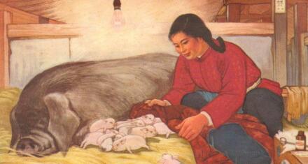 待杀年猪行情来临之后，预计猪价普涨态势会出现