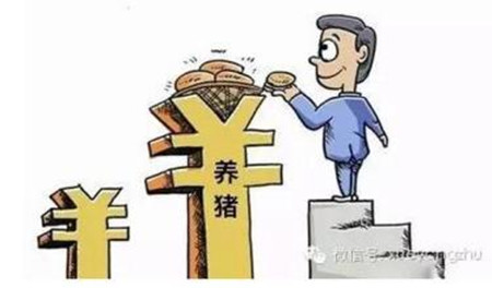 三种类型猪场利润的计算方法！一算吓一跳