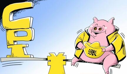业内：没有谁能够十分准确地预测“下一秒”的猪价