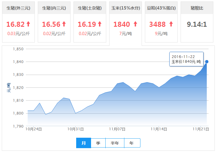 2016年11月22日全国玉米价格行情走势汇总