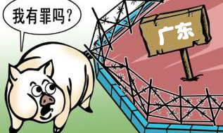 禁养区内竟有82个养殖场 他们是如何“投机取巧”的