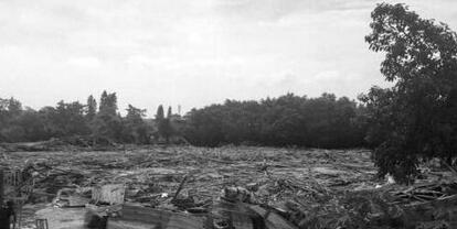 广东关闭养殖场814户，清拆养殖场面积约82.19万平米