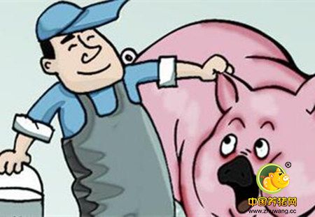 猪价整体上升有望继续上涨 供需博弈明显屠企涨跌两难