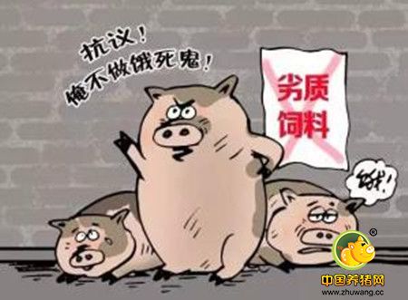 如何科学的省猪饲料？