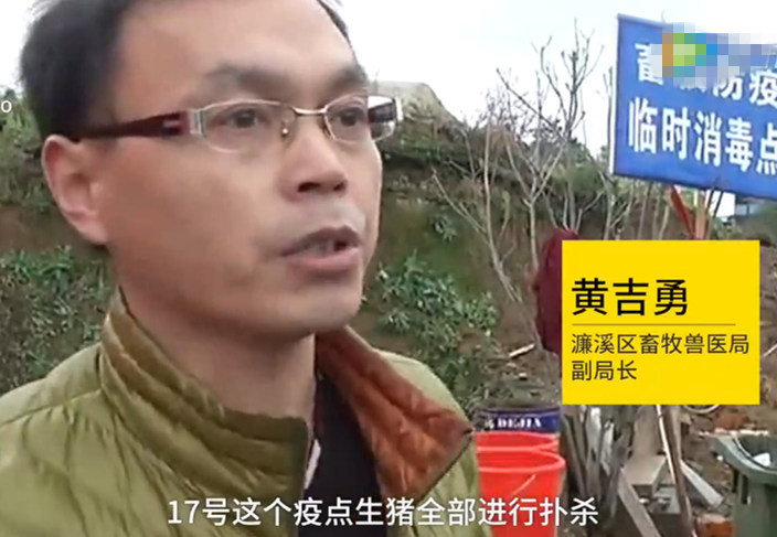 九江发现口蹄疫疫情 145头生猪死亡