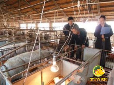 迎来“冷冻年”，你的养猪场保暖做好了吗？