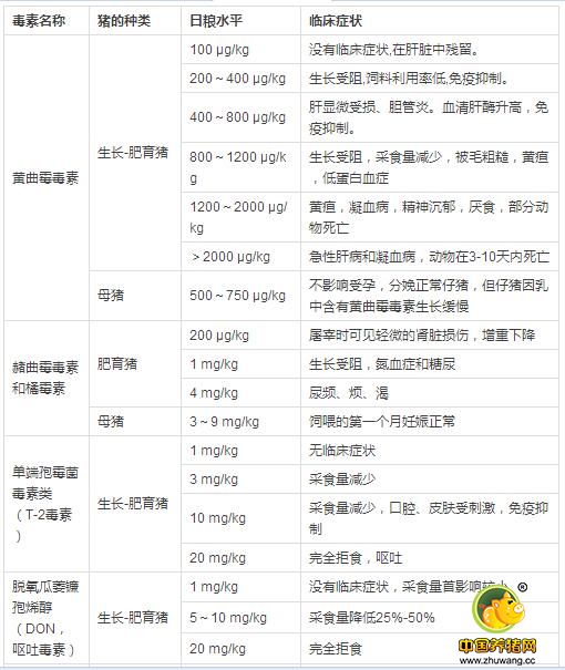 霉菌毒素对养猪的危害--一看吓一跳