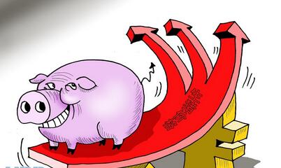 内猪有外忧：中国20年难治猪周期被洋猪攻破