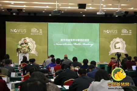 诺伟司猪营养与管理研修班提出了哪些新观点？