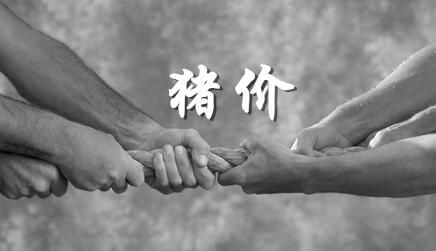 养猪人谈猪价：2017年猪价预测，是顺势上涨吗……