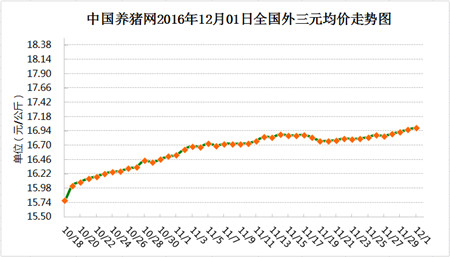 12月01日猪评：世间文字八万个 唯有“疫”字最杀人