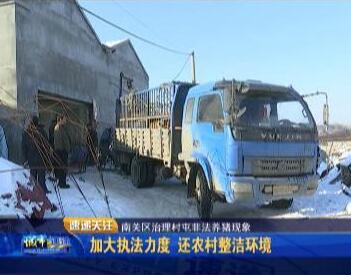 长春多部门联合执法 收缴非法养猪户生猪50余头