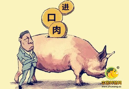 涨的这么慢？！进口猪肉仍是大问题