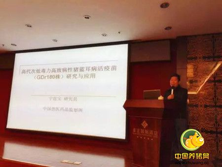 猪场必备：高效稳定的猪瘟疫苗和安全有效的蓝耳疫苗