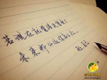 人活着，是为了自己的理想还是他人的目光？