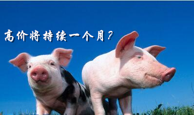 猪价进入8.5-9元/斤高点区，将持续1个月左右
