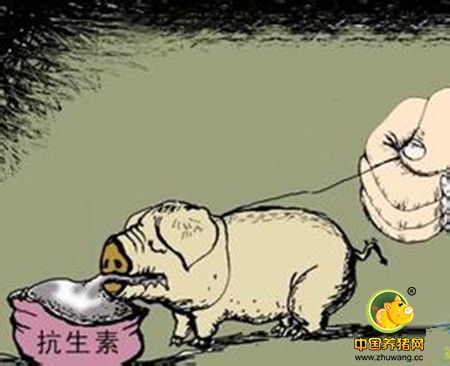 猪粪污染不再愁，看看别人是怎么利用的！
