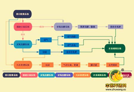 变粪为宝，发酵后的猪粪500元/吨，农村养猪增收新路子