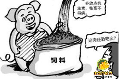 植物提取物为饲料添加剂 仔猪不用抗生素
