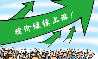 谈猪价，迎春节，做冷静的自己！