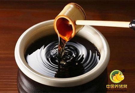 拿醋喂猪！有经验的养猪老手是这么用的