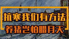 抗寒我们有方法，养猪岂怕腊月天！