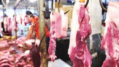 养这种猪年赚2000元//头，小伙特色养殖创精彩