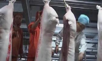 今年全国取缔违法生猪屠宰场点1928个！