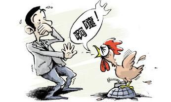 四川发生一起禽流感疫情，确认为H5N6亚型