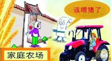 现在的养猪业是熟资本市场，不是过去的散户天下！