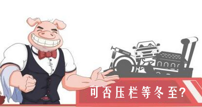 全国齐涨，多地破9，可否压栏等“冬至”？