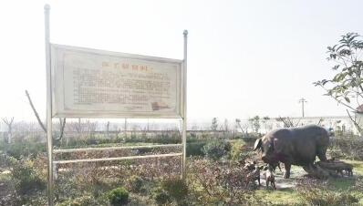 诗人都跨界养猪了？！他吃住在养猪场晚上搞创作