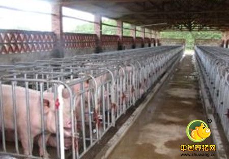 新建养猪场如何申请环评？小编为您列举具体流程与操作方法
