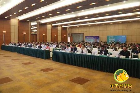 恭贺金新农再获殊荣