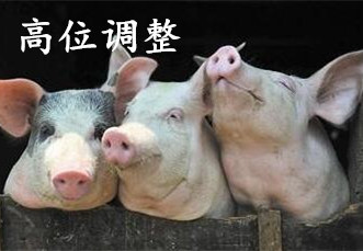 消费降量供应增加 国内猪价高位调整