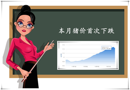 本月猪价首次出现回调，后市养殖风险逐渐增加！