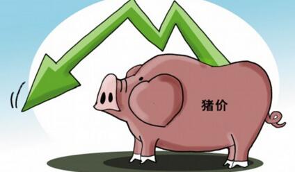 2017年的猪价也许不那么悲观……