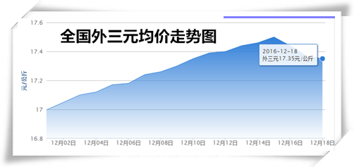12月18日猪评：猪价连跌三天不可怕 止跌之日近在眼前