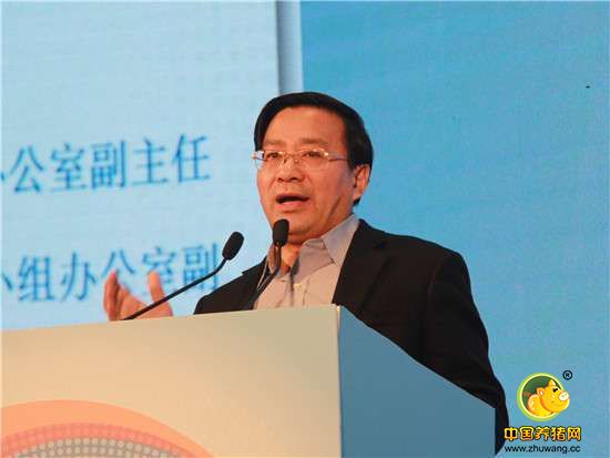 猖獗！边境走私活猪一车非法获利3万块