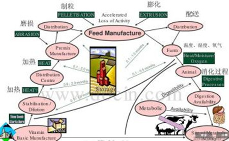 乳猪的营养特点及饲料的主要成分