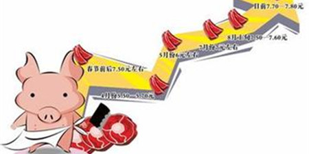 春节期间猪肉价格会长上涨吗？猪肉价格上涨原因是什么？