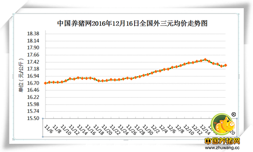 12月20日猪评：2017年养猪行情必然一片光明