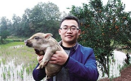 大学生因病退学养猪致富 带动800多名人员就业