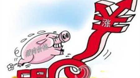 猪价后市涨跌还得看双方心理博弈谁占上风！