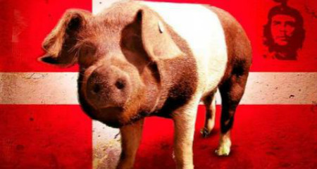 难道猪2型圆环病毒是挑战养猪产业疫苗的终结者？