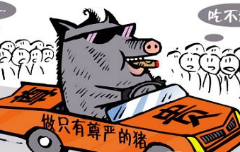 猪价企稳反弹，猪粮比黄色预警区域，切勿过度补栏！