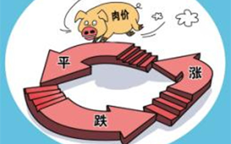 农牧点评:存栏继续探底,猪价有望延续景气