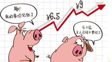 需求增加致使11月屠宰量飙升6.78%
