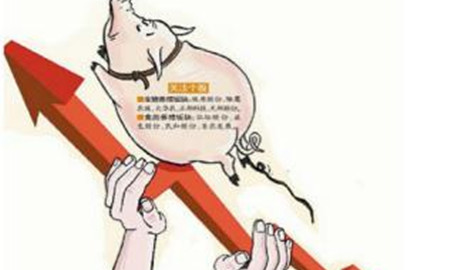据说年底猪价要上涨！ 2017年还适合投资养猪吗？